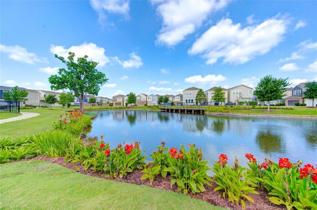 Serene residential areas with numerous ponds surrounded by well-maintained landscaping and vibrant flowers. Modern houses line the water's edge, providing a peaceful and picturesque neighborhood setting. | Image 37