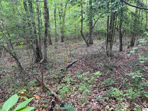 00 Connie Walters Rd, Calhoun, LA, 71225 | Card Image