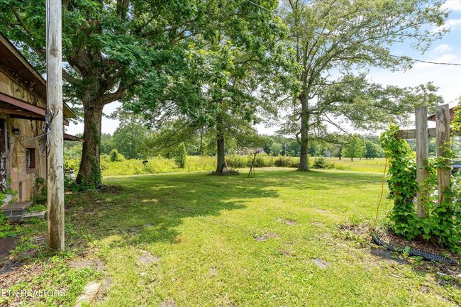 9476 Morgan Co Hwy, Home with 0 bedrooms, 0 bathrooms and null parking in Sunbright TN | Image 23