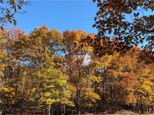 1 Madison 3105, Pettigrew, AR, 72752 | Card Image