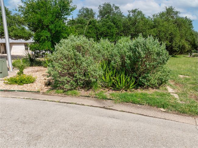 View of yard | Image 25