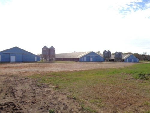 TBD Woodchuck Rd, Winnsboro, TX, 75494 | Card Image