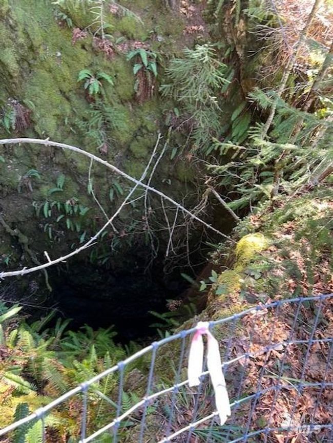 1 Highway 199 None, Home with 0 bedrooms, 0 bathrooms and null parking in Crescent City CA | Image 19