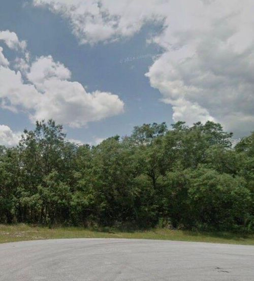204 Kingfish Way, KISSIMMEE, FL, 34759-4881 | Card Image
