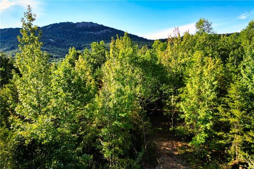 00B State Highway 11, Landrum, SC, 29356 | Card Image