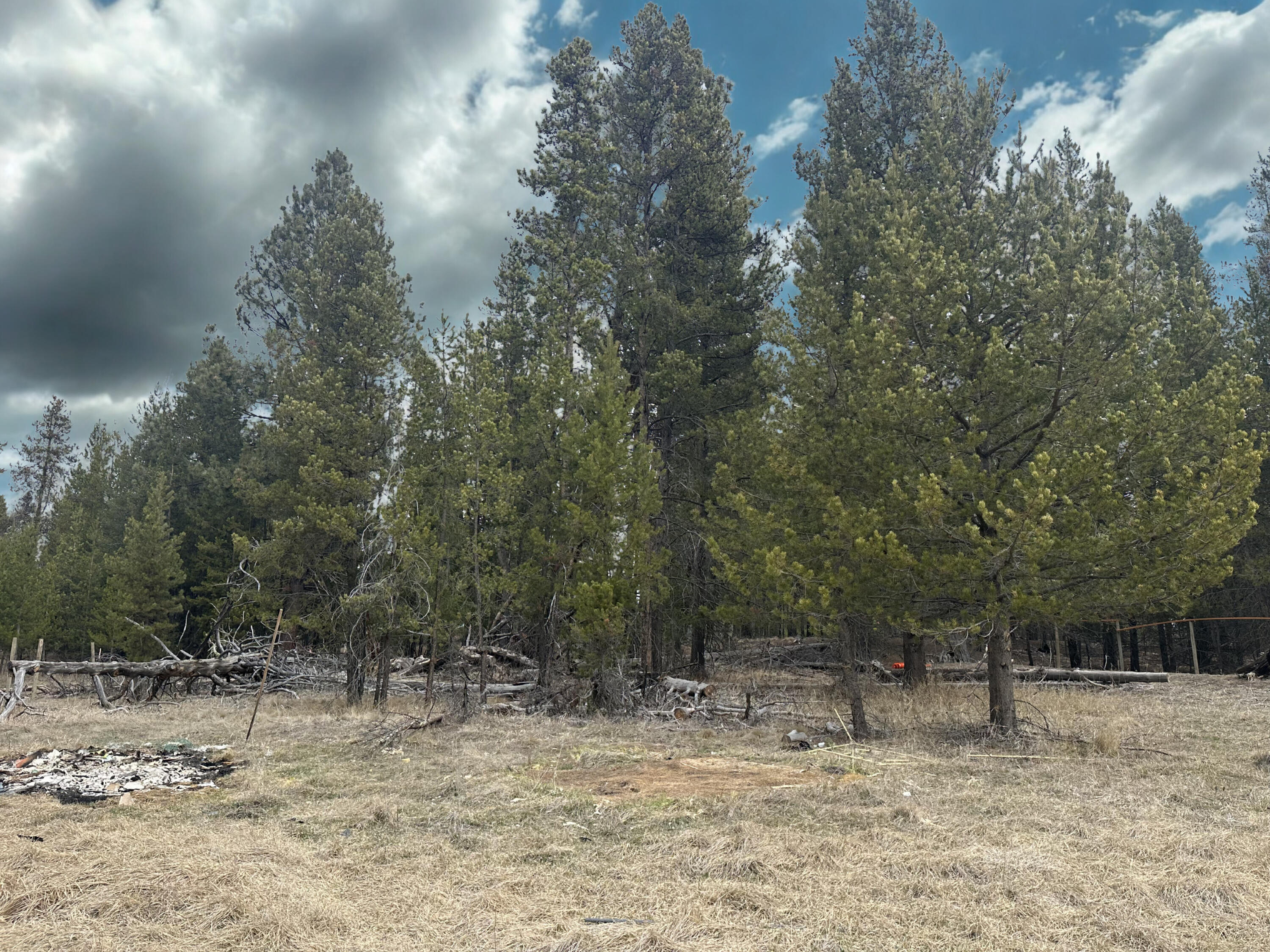 Land in La Pine 4