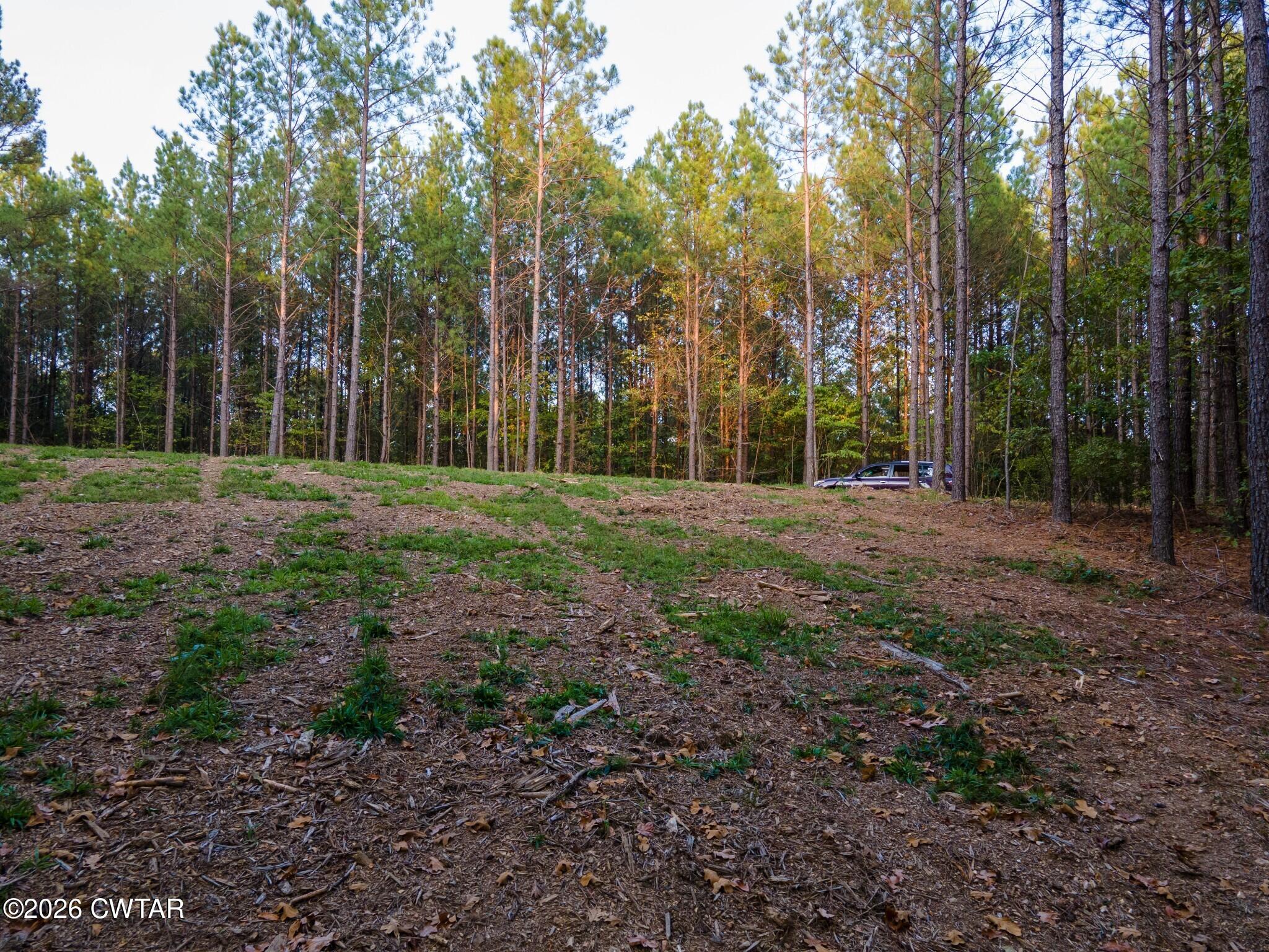 Land in Hohenwald 5