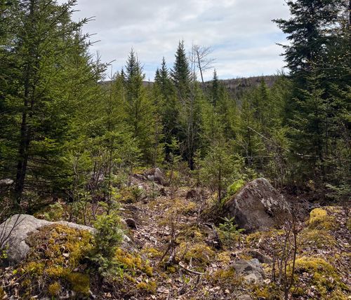 Lot 10 Morrison Brook Acres, Oakfield, ME, 04763 | Card Image