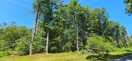 Lot 50 Deep Hollow Hl, Narrowsburg, NY, 12764-6204 | Card Image
