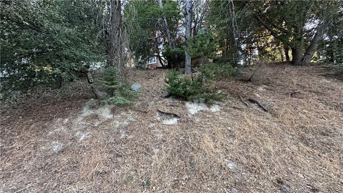 0 Mid Ln, Twin Peaks, CA, 92391 | Card Image