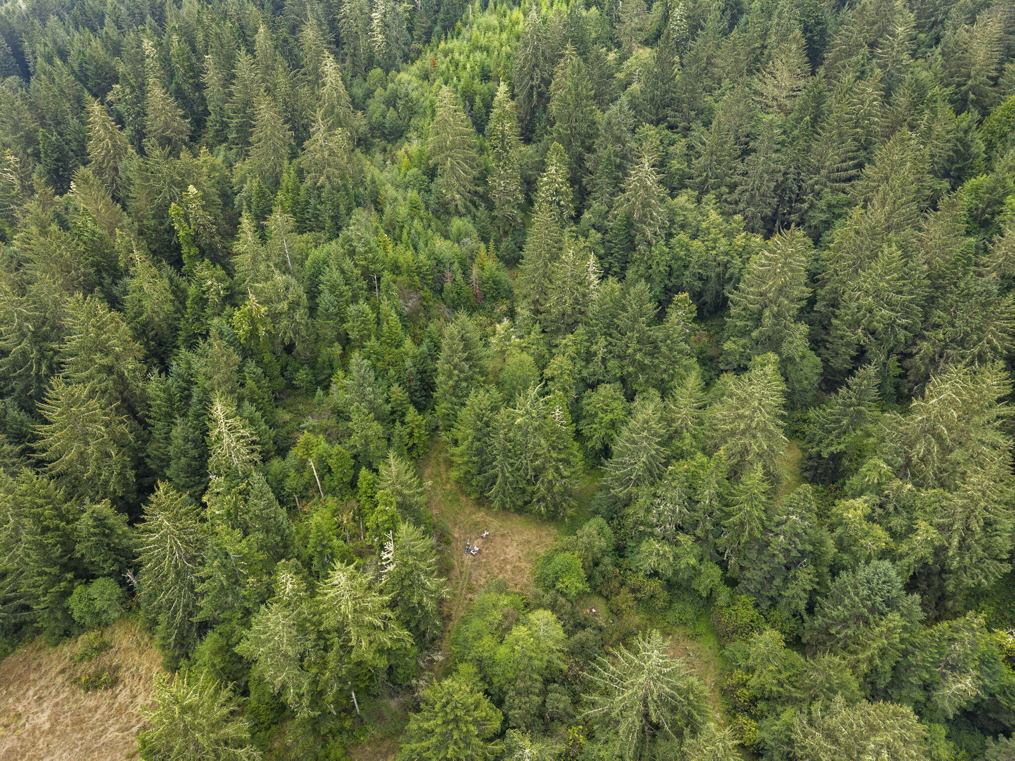 Land in Ferndale 4