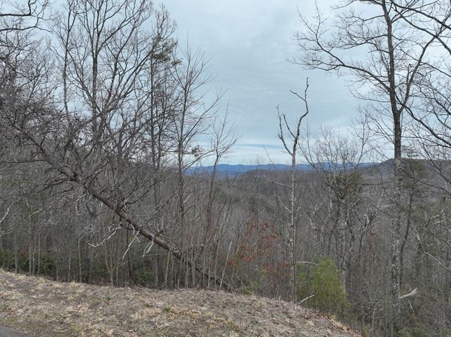 235 Andes Rdg, Home with 0 bedrooms, 0 bathrooms and null parking in Ellijay GA | Image 22