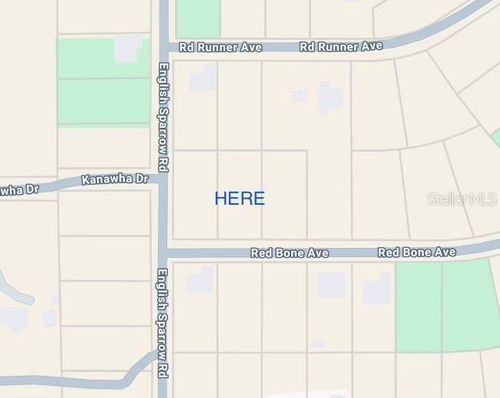 13189 Red Bone Avenue, WEEKI WACHEE, FL, 34614 | Card Image