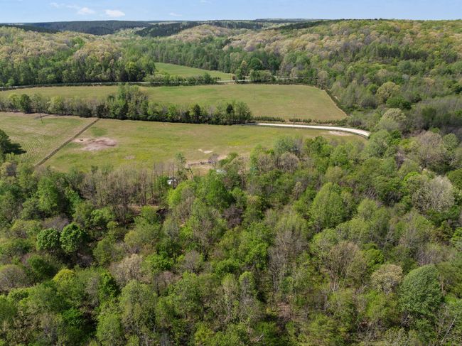 2631 Old Weatherford Creek Rd, Home with 0 bedrooms, 0 bathrooms and null parking in Lutts TN | Image 40