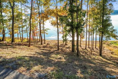 572 Reserve Drive, Home with 0 bedrooms, 0 bathrooms and null parking in Guntersville AL | Image 1