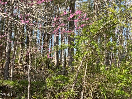 2 Lots Powell Valley Rd, Big Stone Gap, VA, 24219 | Card Image