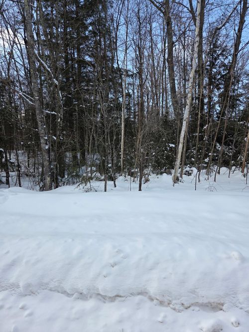 lot-1-ON Northwoods Ln, Elcho, WI, 54428 | Card Image