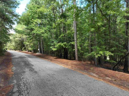 155A Torrey Pine Ln, Chapin, SC, 29036 | Card Image