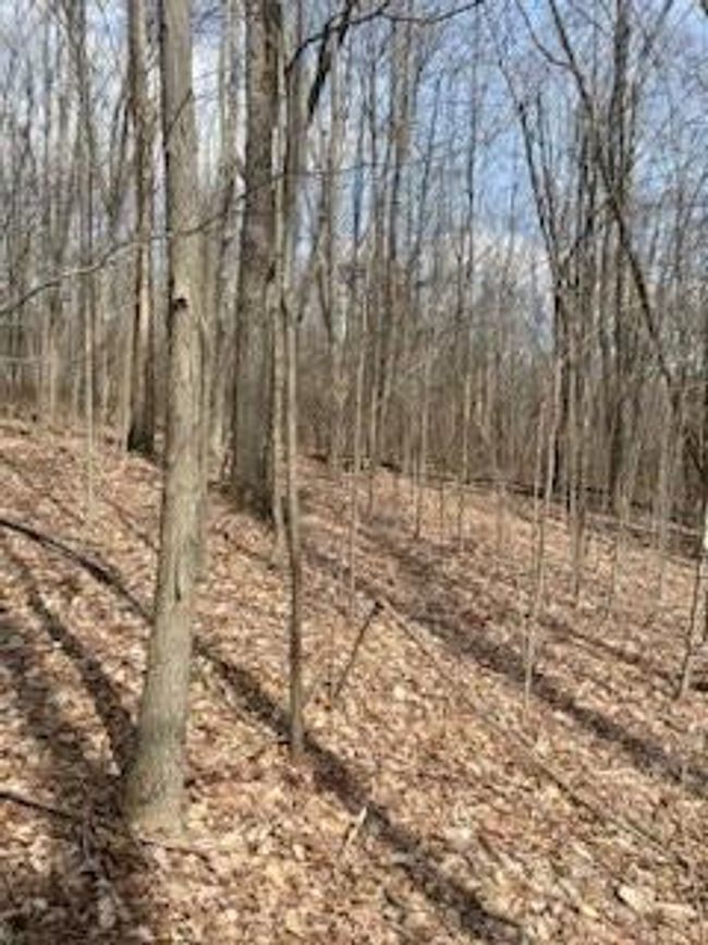 181 Dorman Rd, Home with 0 bedrooms, 0 bathrooms and null parking in Binghamton NY | Image 4