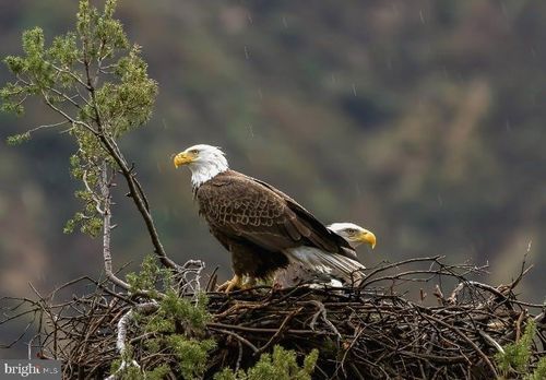 hv-5-614 Graystones Jeras Rd, Albrightsville, PA, 18210-3334 | Card Image