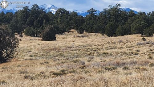 47 White Cloud Dr, Cotopaxi, CO, 81223 | Card Image