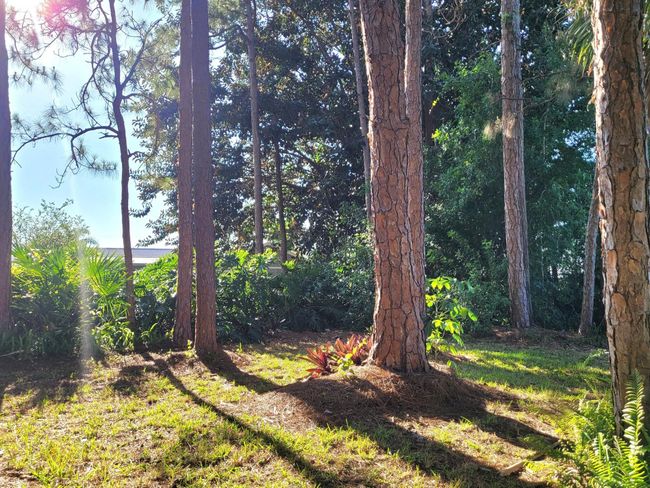 2913 Se Darien Rd, House other with 3 bedrooms, 2 bathrooms and null parking in Port St Lucie FL | Image 35