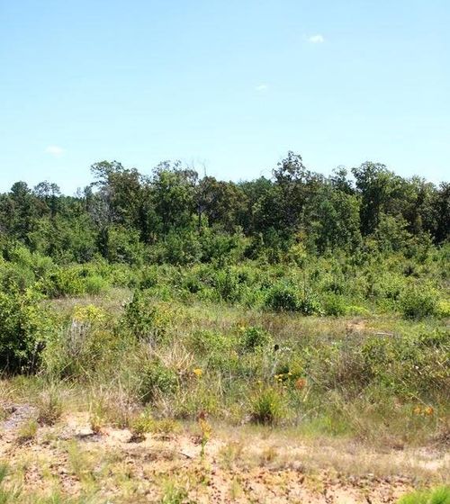 TBD Lot 17 Lebleu Road, Leesville, LA, 71446 | Card Image