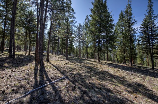 31760 Old Highway 10 W, Home with 0 bedrooms, 0 bathrooms and null parking in Alberton MT | Image 37