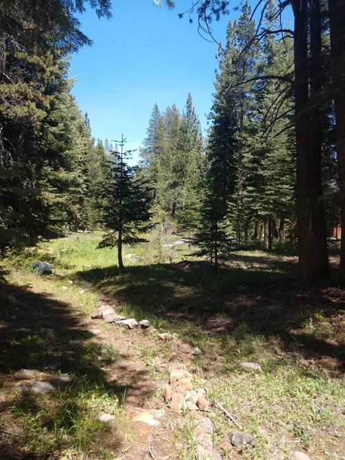 17249 Northwoods Blvd, Truckee, CA, 96161-6050 | Card Image