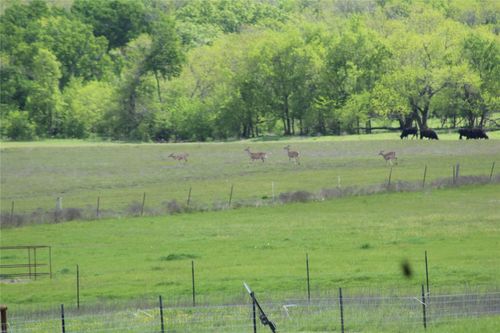 TBD County Road 4518, Wolfe City, TX, 75496 | Card Image