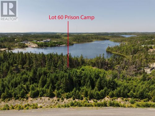 Lot 60 Prison Camp Road, Salmonier, NL, A0A2R0 | Card Image