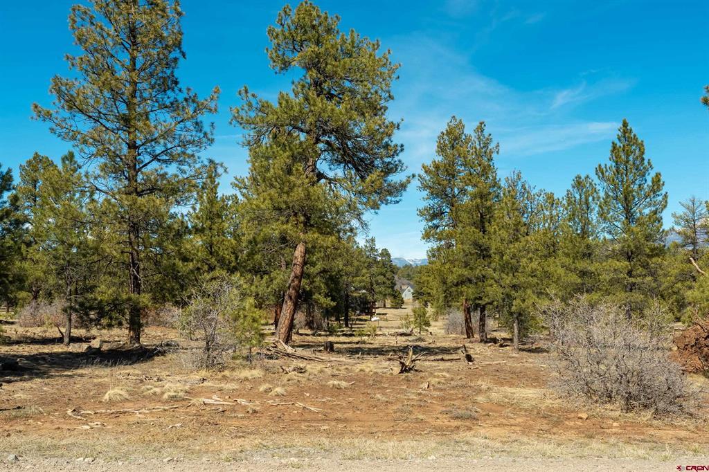 Land in Pagosa Springs 5