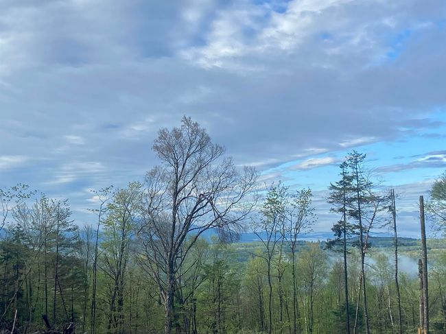 1180 Abbott Hill Rd, Home with 0 bedrooms, 0 bathrooms and null parking in West Burke VT | Image 27