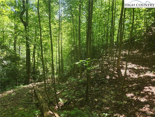 25 - 301 Bear Track Ln, Home with 0 bedrooms, 0 bathrooms and null parking in Lenoir NC | Image 5