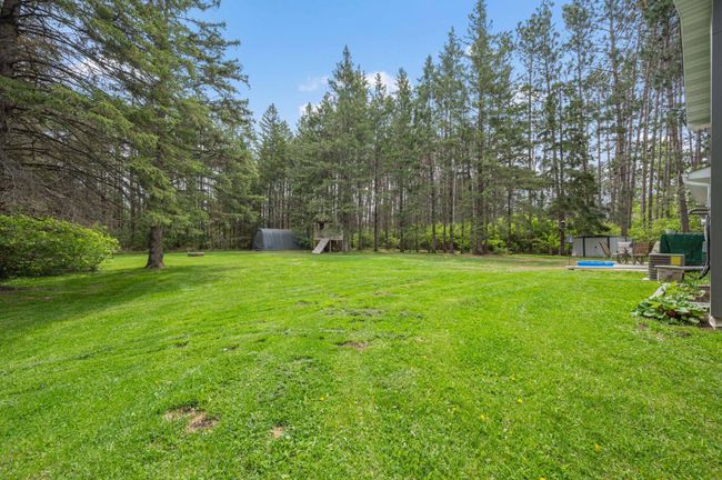 Massive, park-like yard | Image 30