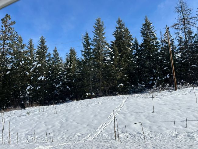 5 Red Fir Ln, Home with 0 bedrooms, 0 bathrooms and null parking in Noxon MT | Image 35