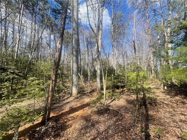 00 Academy Rd, Home with 0 bedrooms, 0 bathrooms and null parking in Mountain Rest SC | Image 34