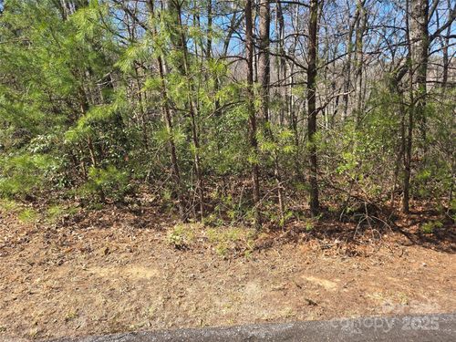 Lot 39 Flynn Ct, Lake Lure, NC, 28746 | Card Image