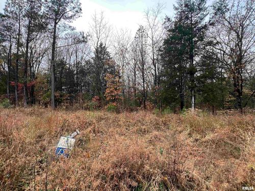 Lot 157 Parrish Ridge Ln, Goreville, IL, 62939 | Card Image