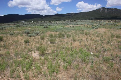 lot 10 Shirley Dr, Questa, NM, 87556-8000 | Card Image