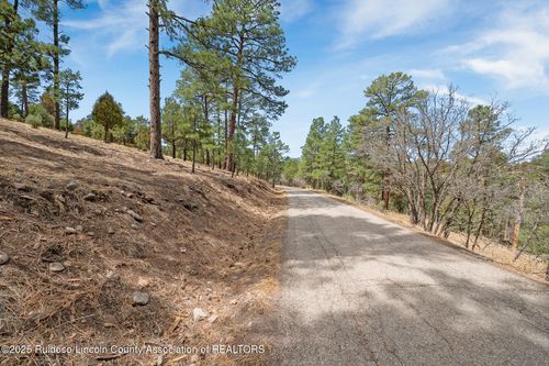 Lot 19 Twin Tree Loop, Alto, NM, 88312 | Card Image