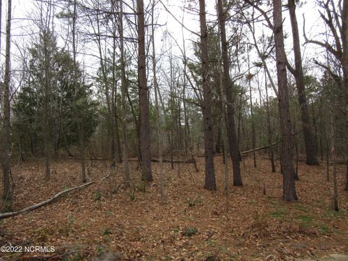 Lot 43& 44 Lakewood Dr, Maxton, NC, 28364 | Card Image