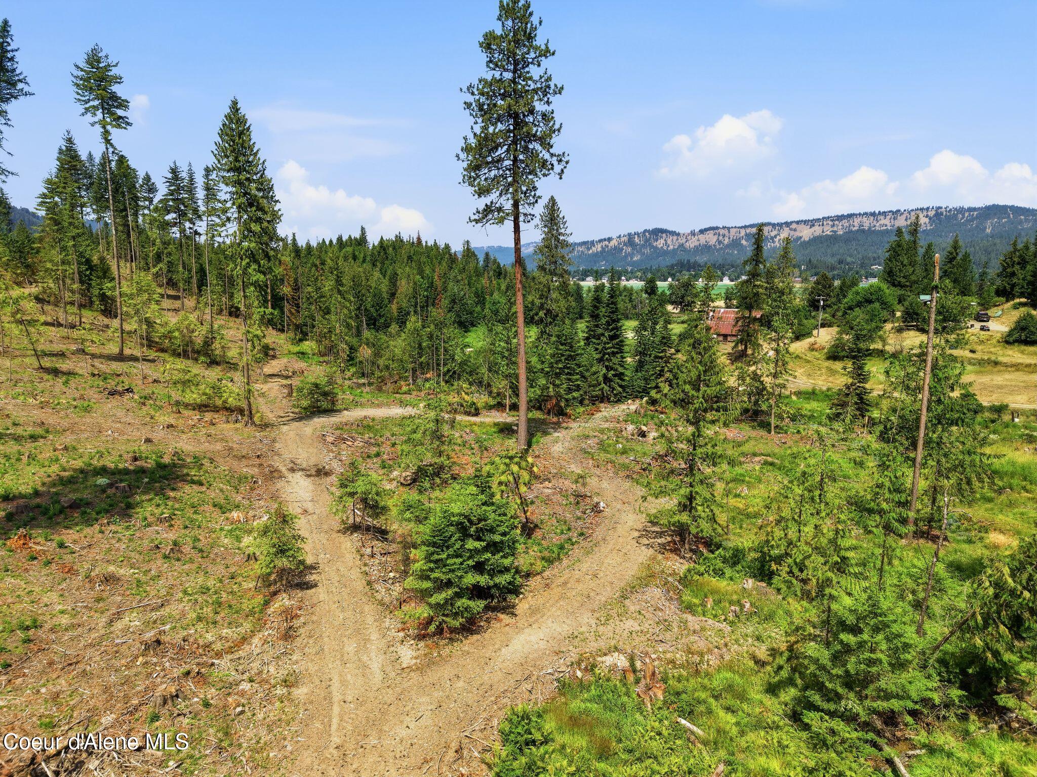 Land in St. Maries