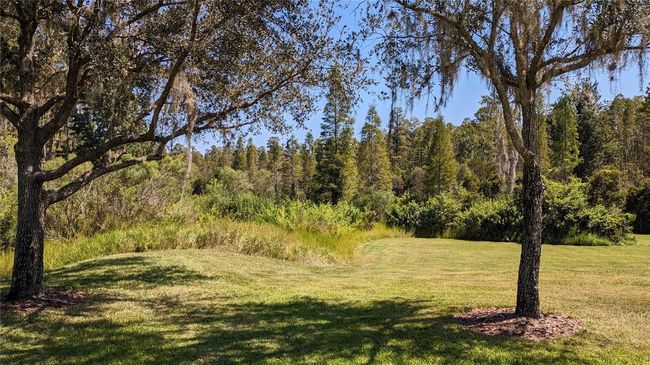 view from lanai | Image 4