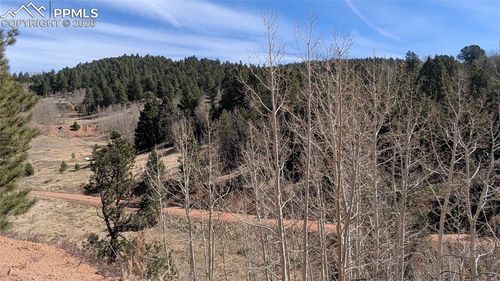 170 Valley Road, Divide, CO, 80814 | Card Image