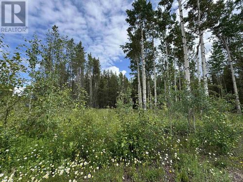 1170 Fowler Place, Valemount, BC, V0E2Z0 | Card Image