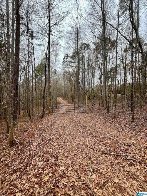 1-0 Jessie Ann Ln, Ashland, AL, 36251 | Card Image