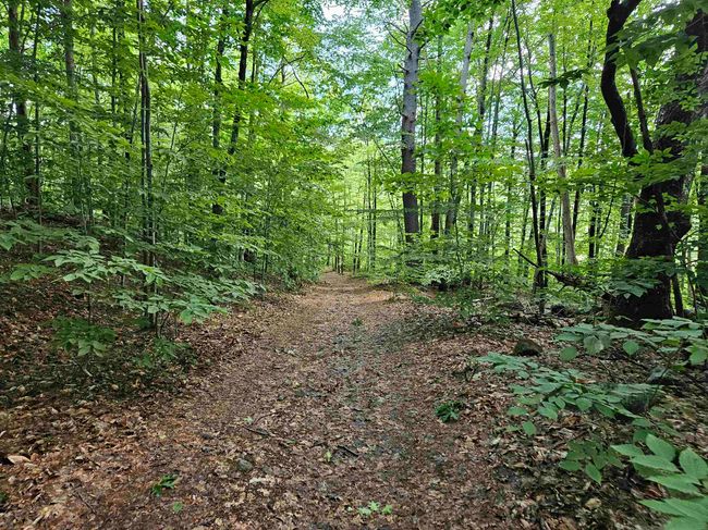 4000-ANDAMP-5000 - 00 Snowshoe Hill Rd, Home with 0 bedrooms, 0 bathrooms and null parking in Canterbury NH | Image 9