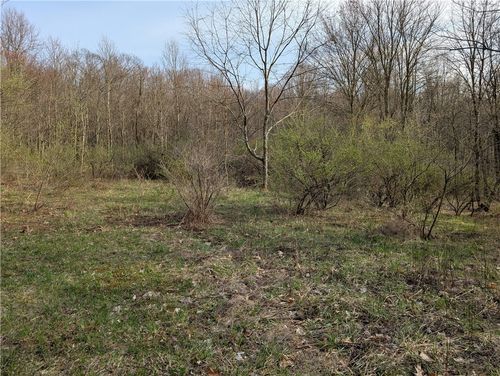 TBD German Lutheran Church Cemetery Rd, E/W Wheatfield Twp, PA, 15944 | Card Image