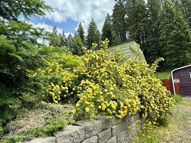 145 Mill Rd, House other with 3 bedrooms, 2 bathrooms and null parking in Mullan ID | Image 4